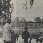 herten_1963