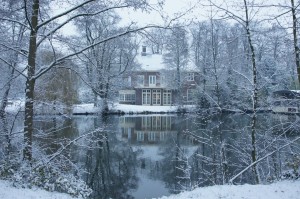 Bibliotheek in Park Oog in Al