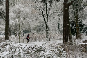 Langlaufer in Park oog in Al